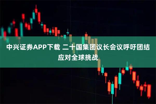 中兴证券APP下载 二十国集团议长会议呼吁团结应对全球挑战