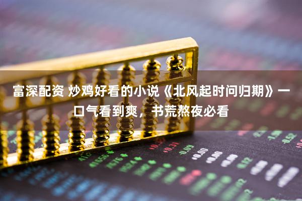 富深配资 炒鸡好看的小说《北风起时问归期》一口气看到爽，书荒熬夜必看