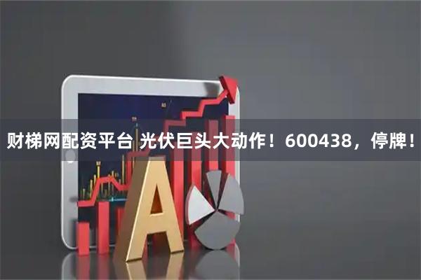 财梯网配资平台 光伏巨头大动作！600438，停牌！
