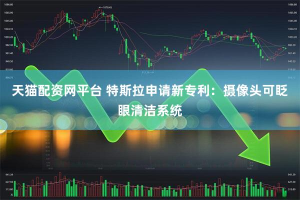 天猫配资网平台 特斯拉申请新专利：摄像头可眨眼清洁系统